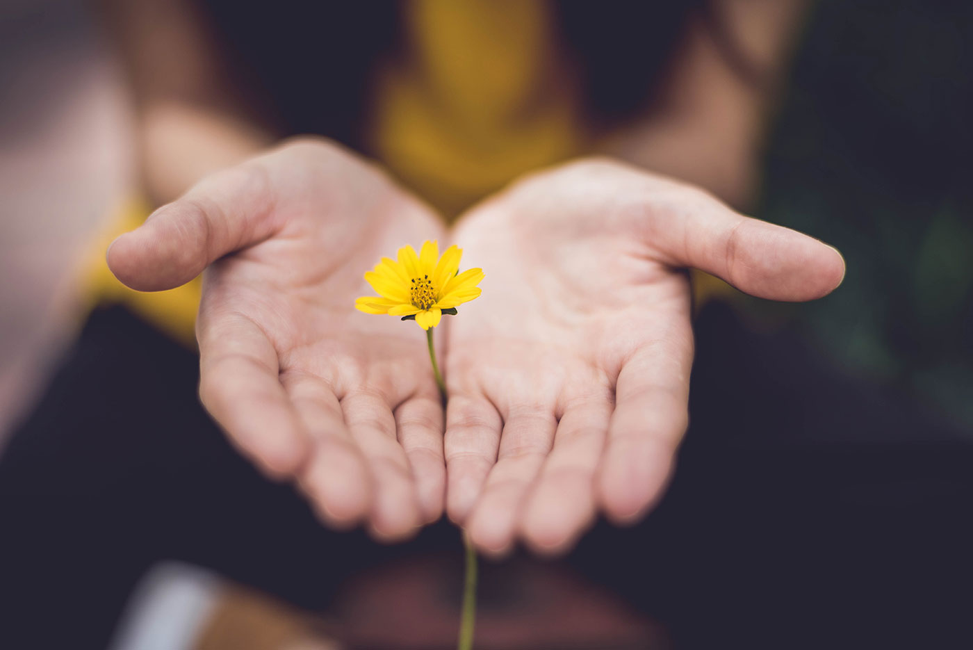 The Joy of Giving: Serving Others with a Generous Heart